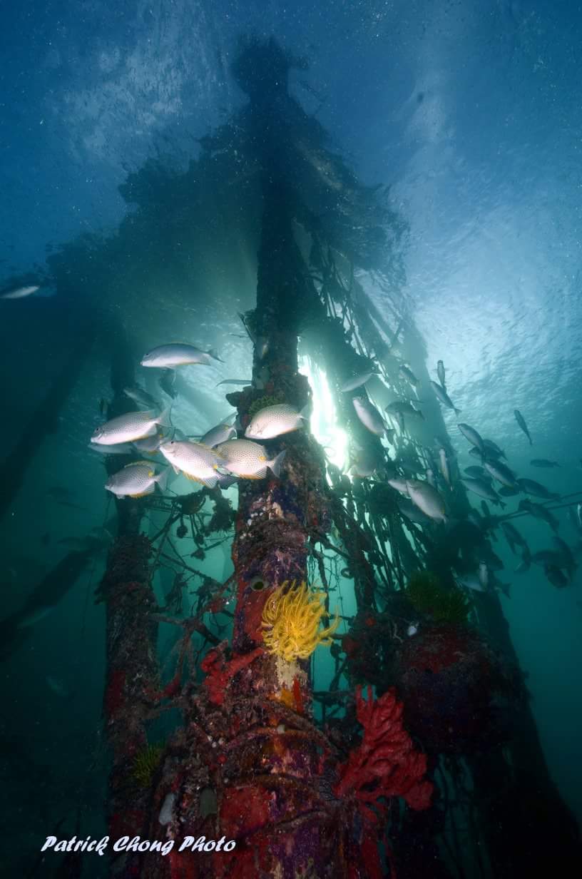 ropes-under-jetty